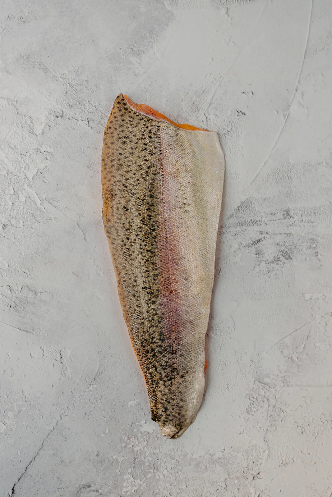 ChalkStream Trout Fillet - Image 2