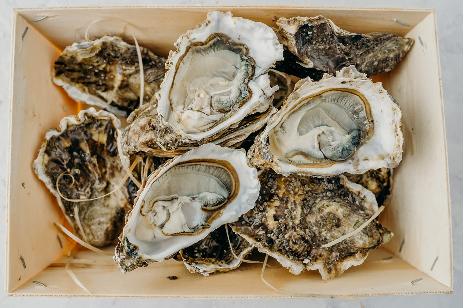 Atlantic Edge Rock Oysters - Image 2