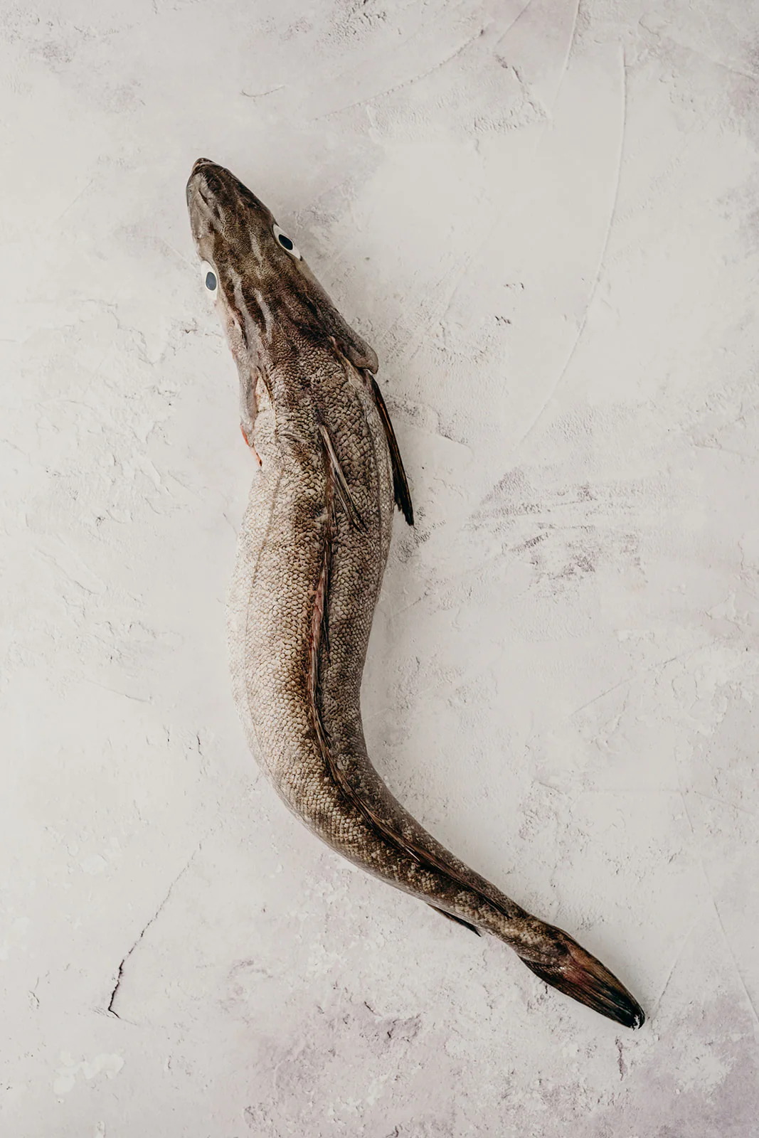 Hake Steaks - Image 2