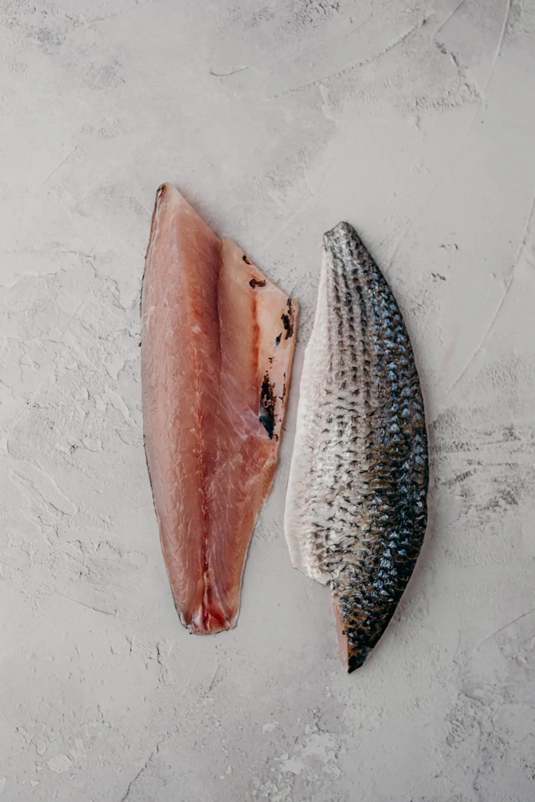 Grey Mullet - Image 2