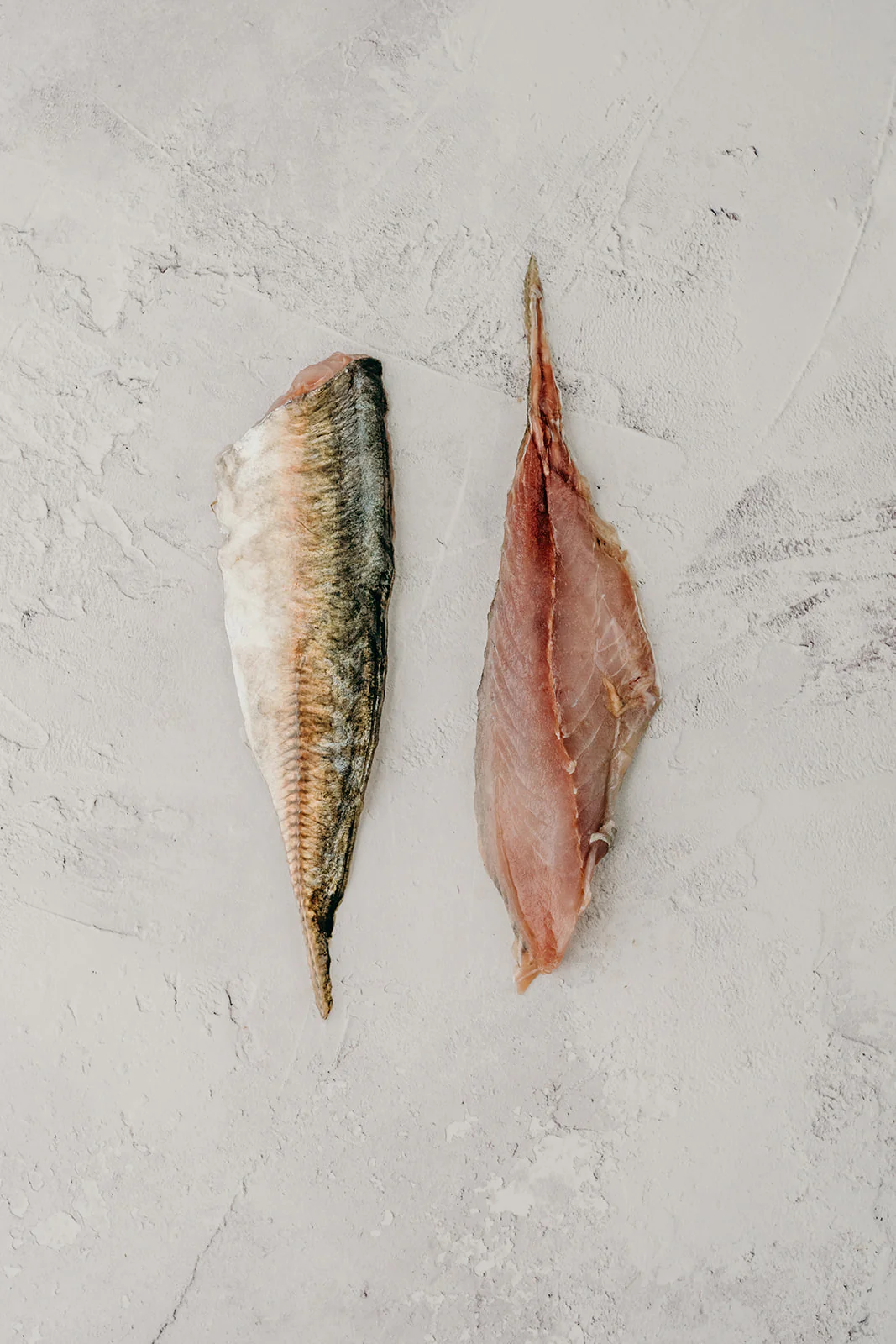 Horse Mackerel - Image 3