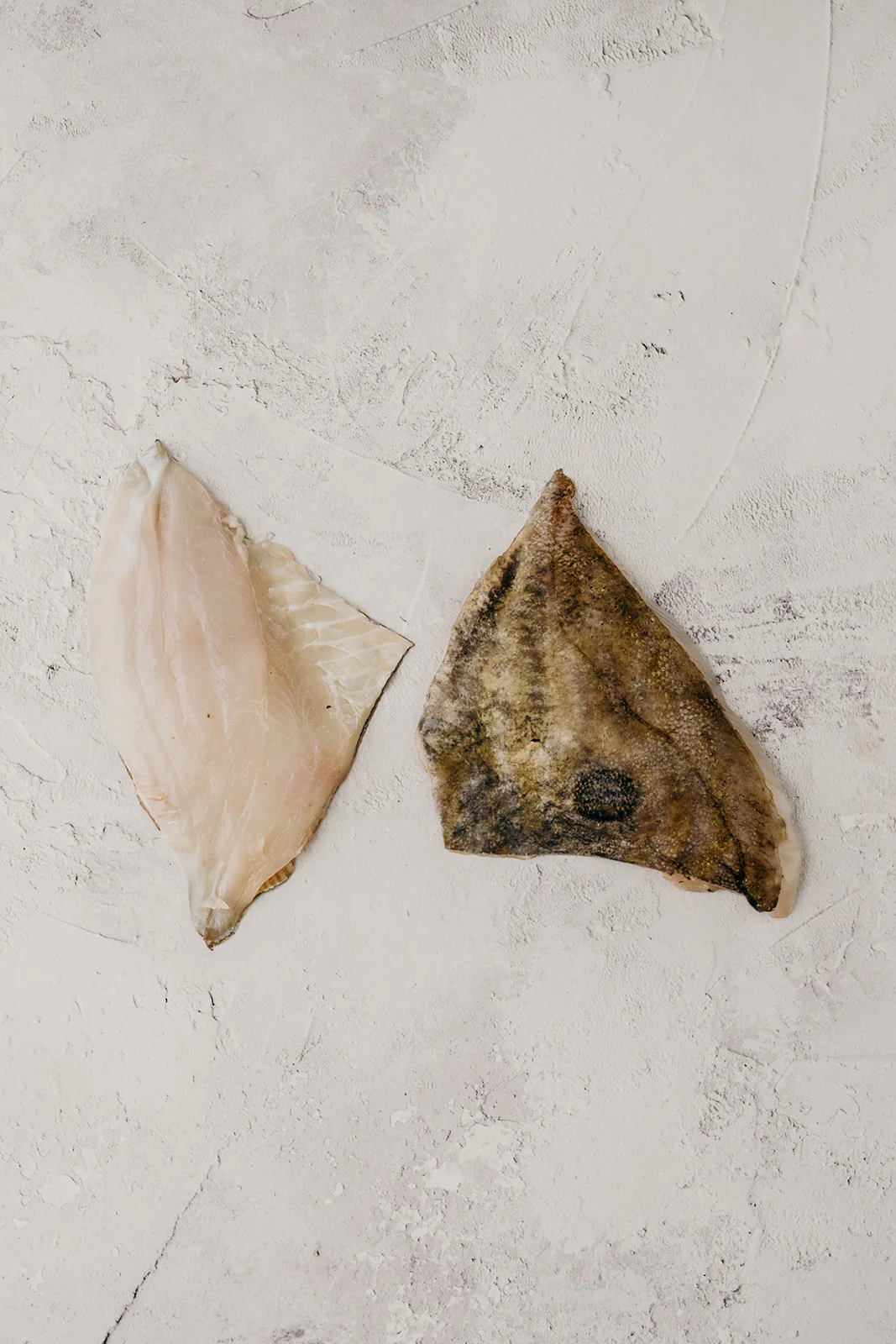 John Dory - Image 3