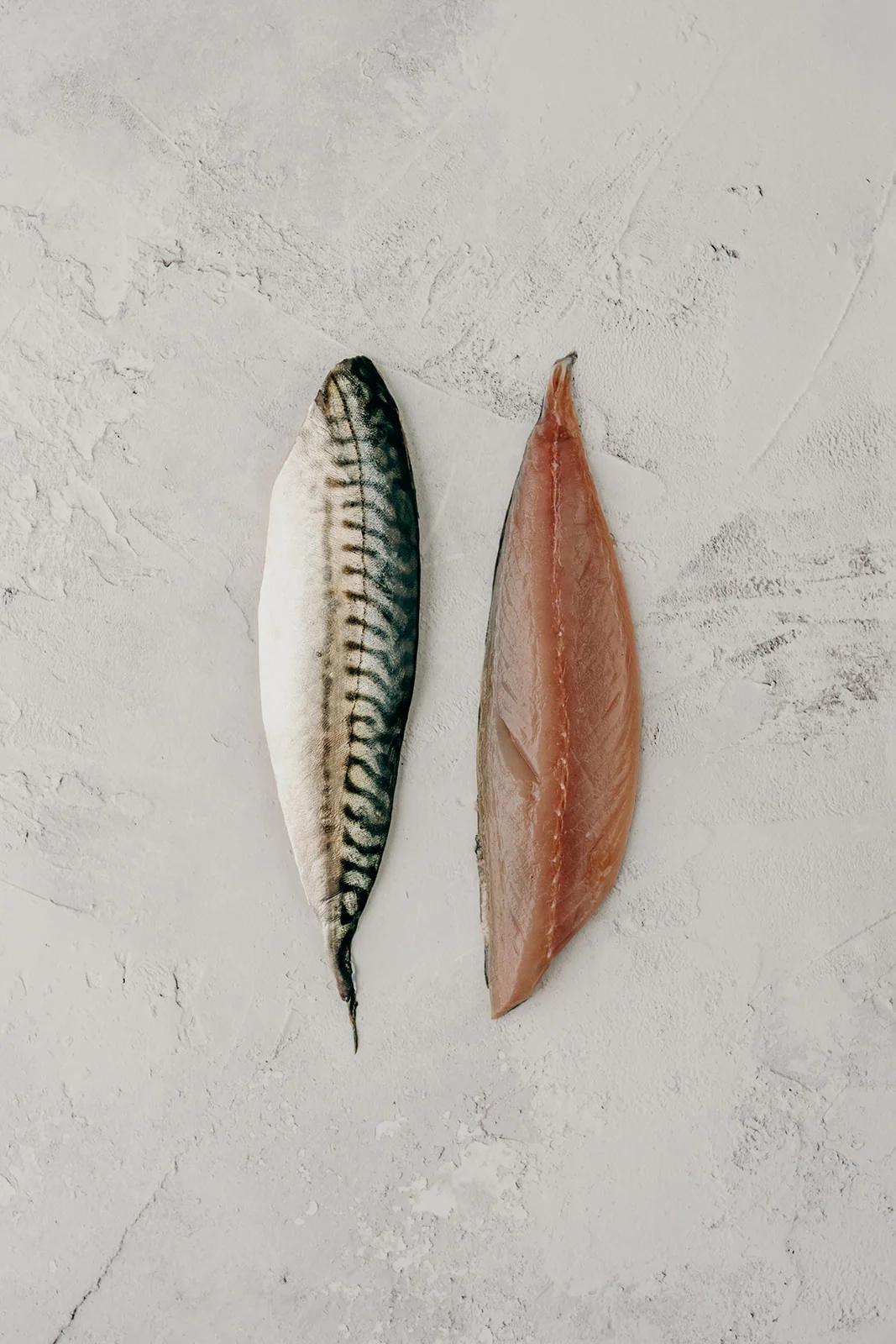 Mackerel - Image 2