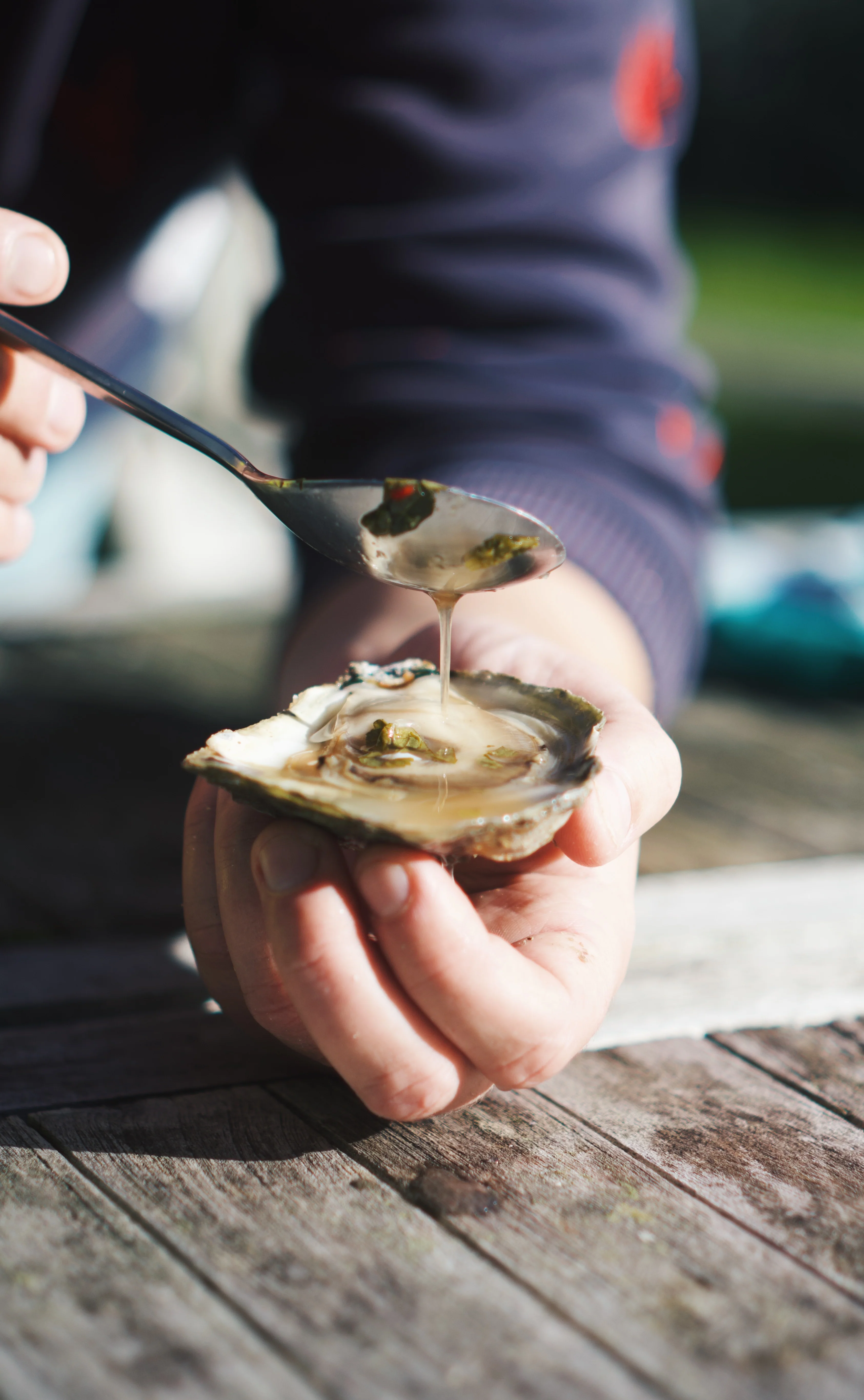 Atlantic Edge Native Oysters - Image 2