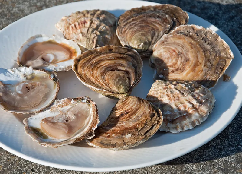 Atlantic Edge Native Oysters - Image 4