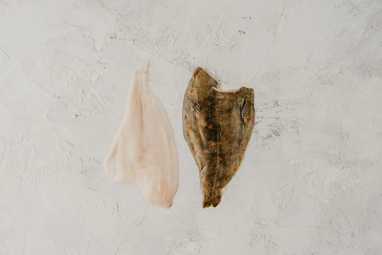 Plaice - Image 3