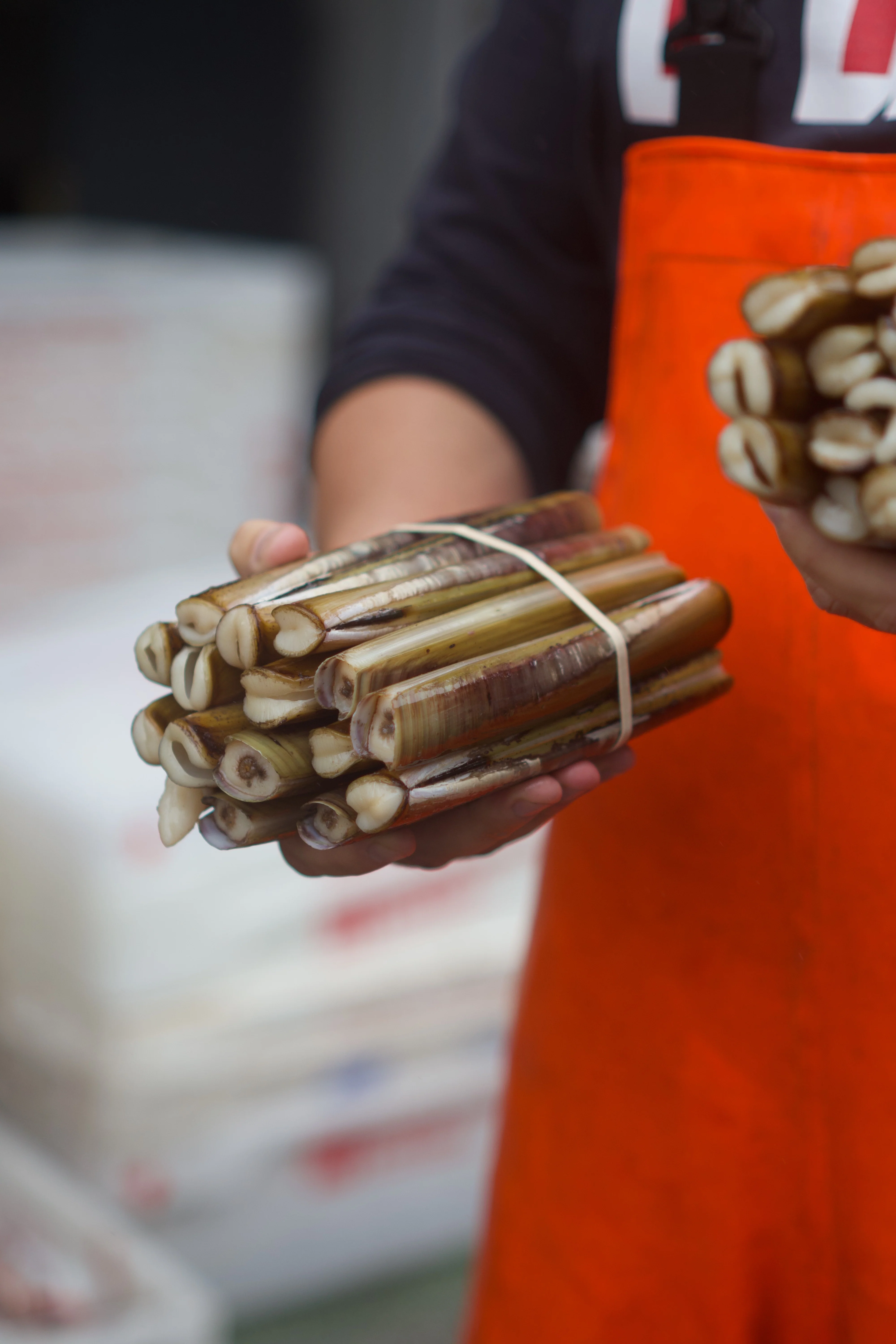 Large Hand Dived Razor Clams 1kg
