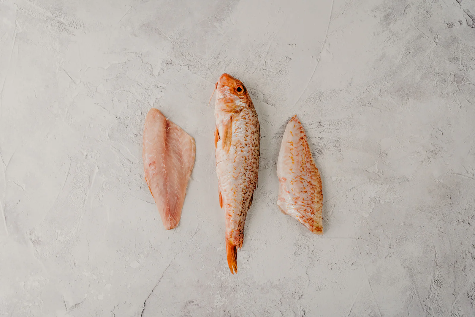 Red Mullet - Image 3