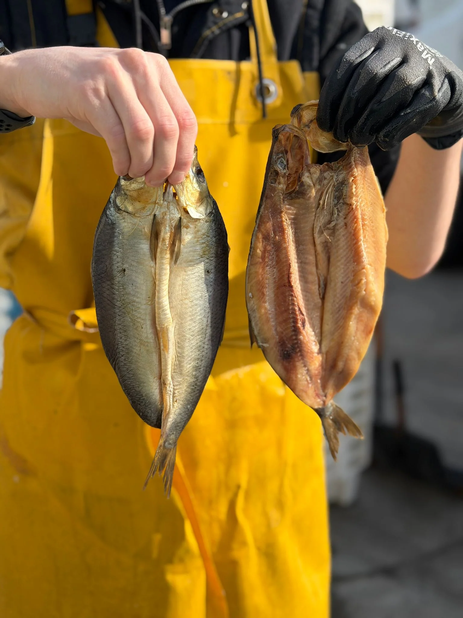 Smoked Kippers